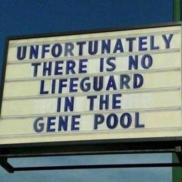 Meet your Posher, NED! - Picture 11 of 17